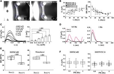 Reproducibility of drug-induced effects on the contractility of an engineered heart tissue derived from human pluripotent stem cells